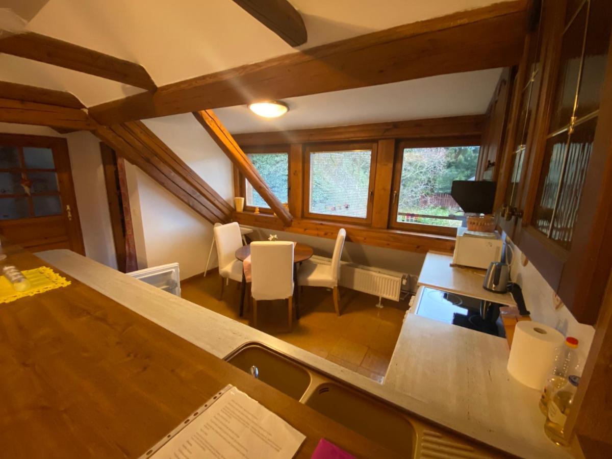 Apartmany Dolni Vitkov Chrastava Zewnętrze zdjęcie